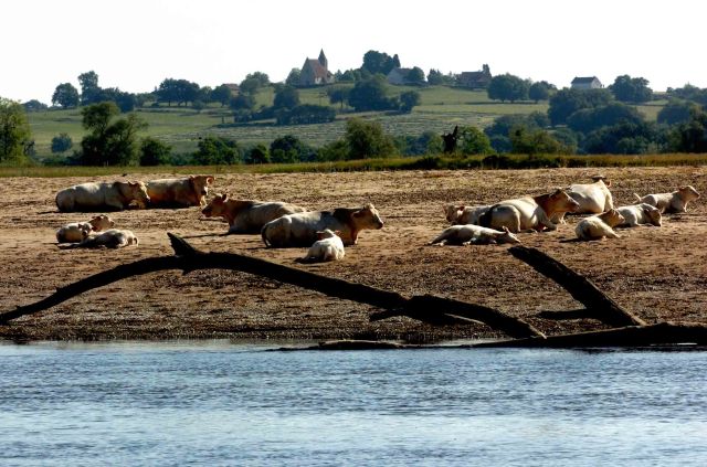 Photo de Guillaume Atger: http://www.divergence-images.com/guillaume-atger/